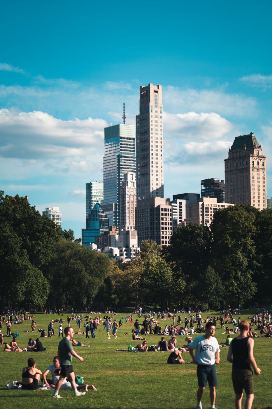 Afternoon on the Central Park lawn